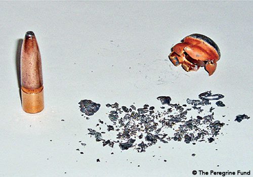 bullet with lead fragments