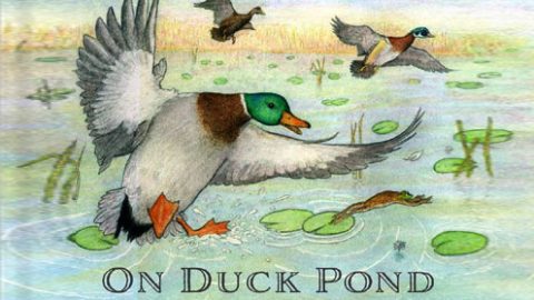 On Duck Pond by Jane Yolen