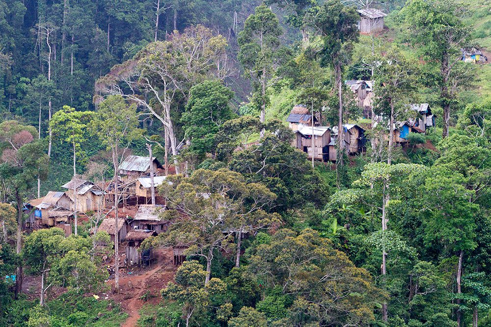 These new dwellings have sprouted near a Philippine Eagle nesting territory. As the population grows on Mindanao, people are pushing deeper into the forest. Photo by Kike Arnal.