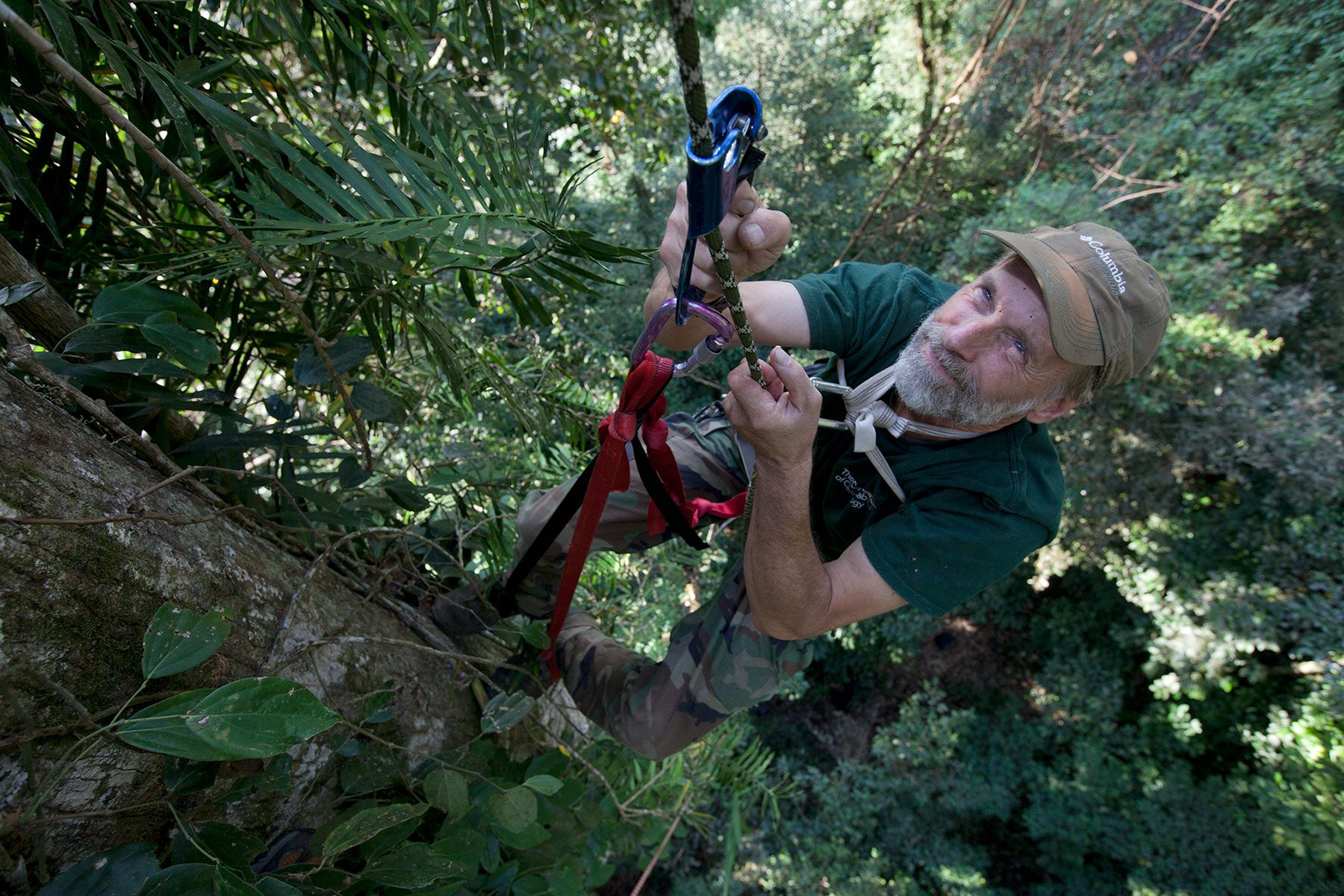 Rettig climbs a tree. Photo by Kike Arnal.