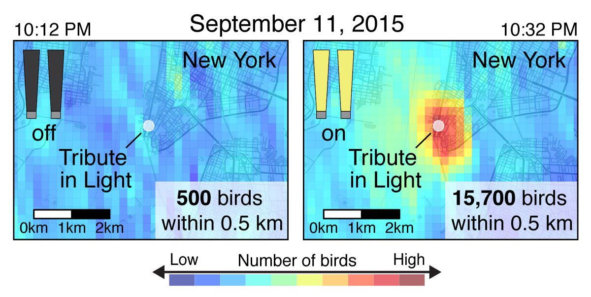 Tribute in Light radar images