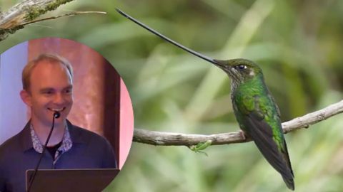 Noah Strycker and Sword-billed HUmmingbird