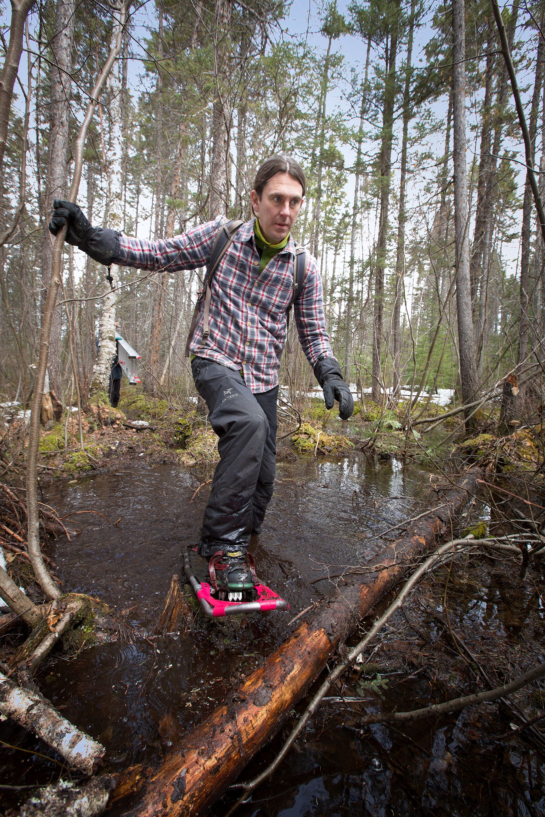 Snowshoeing becomes bog-shoeing in Algonquin in spring, when the forest becomes a mosaic of meltwater ponds and pockets of snowdrifts that resist melting until summer. Photo of Ryan Norris by Chris Foito.