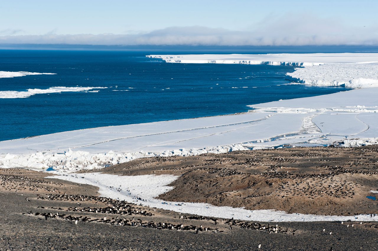Antarctic landscape. Photo by Chris Linder.