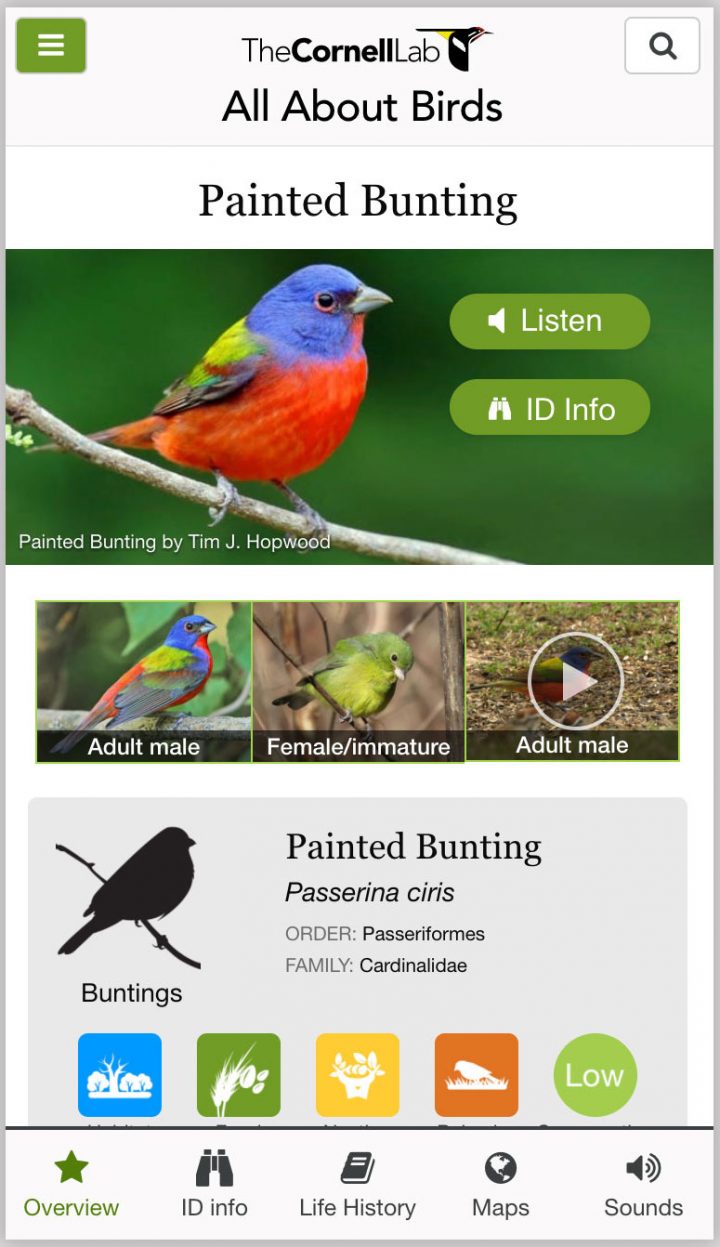 All About birds screenshot