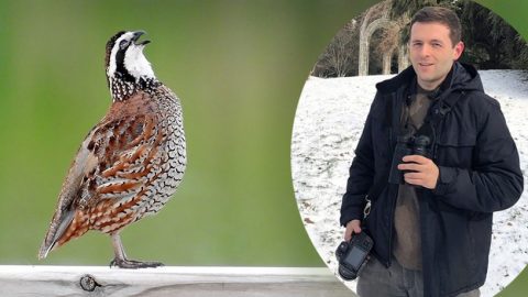 Brian Tinker, 2018 January eBirder of the month