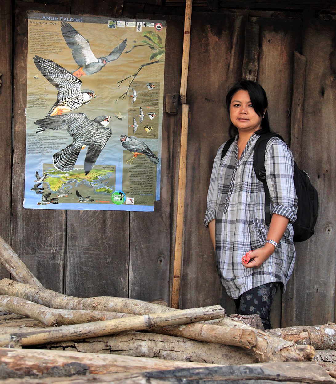 Conservationist Bano Haralu helped convince Naga people that Amur Falcons were more valuable as a draw for tourists than as meat for the kitchen. Photo by by Ramki Sreenivasan.