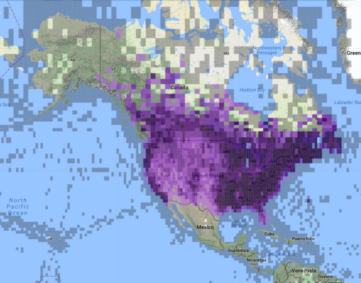 eBird reports of American Crow in North America, 2008-2018.
