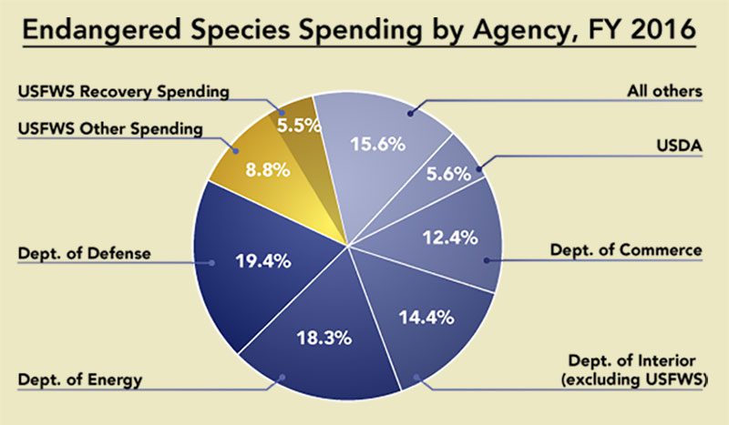 The Endangered Species Act is administered by the U.S. Fish and Wildlife Service and the Commerce Department’s National Marine Fisheries Service. But other federal agencies spend more on endangered species in expenditures such as mitigating impacts from projects. Source: U.S. Fish and Wildlife Service 2016 Federal and State Endangered and Threatened Species Expenditure Report. Graphic by Bartels Science Illustrator Phil Krzeminski.