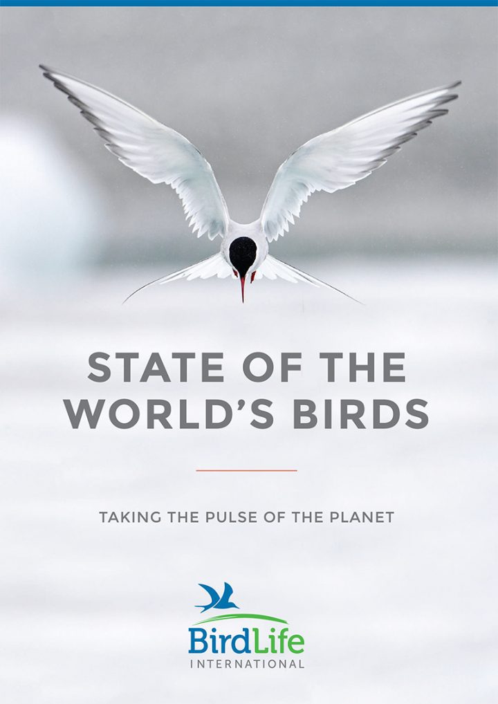 2018 State of the World