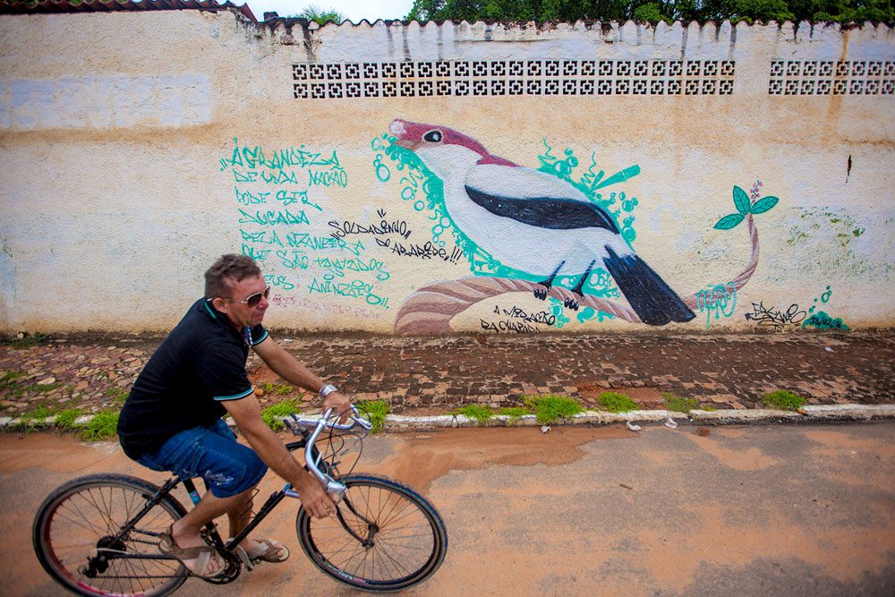 À esquerda do soldadinho, as palavras escritas com spray fazem uma defesa da conservação. Foto: Helio Filho.