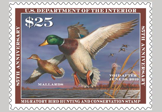 2018 Duck Stamp Migratory Bird Stamp