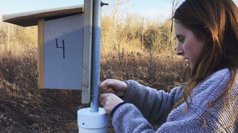 a nest box trail is put up. Photo by Katelyn Shelton