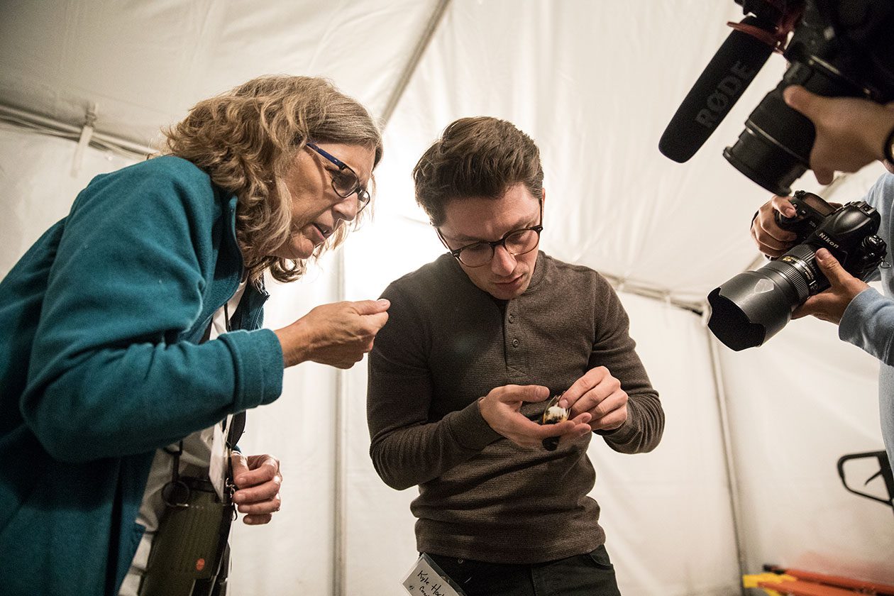 NYC Audubon Director of Conservation and Science Susan Elbin and Cornell Lab scientist Kyle Horton examine an American Redstart that died from building collision at the Tribute in Light. Photo by Ben Norman.