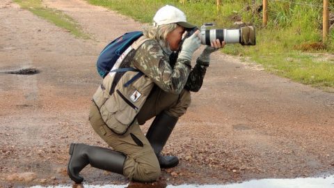Silvia Faustino Linhares, August 2018 eBirder of the Month