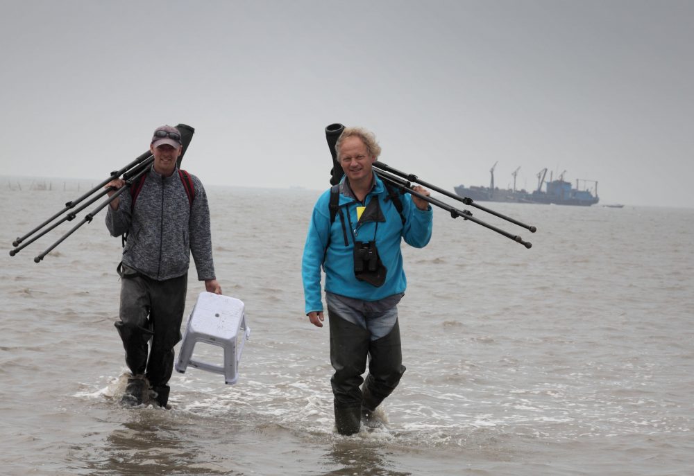 Theunis Piersma and assistant in the Yellow Sea. By Sytze?
