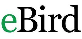 eBird logo