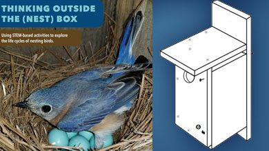 Thinking Outside the (Nest)Box