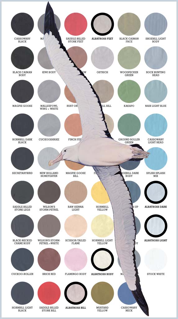Pantone colors for the albatross