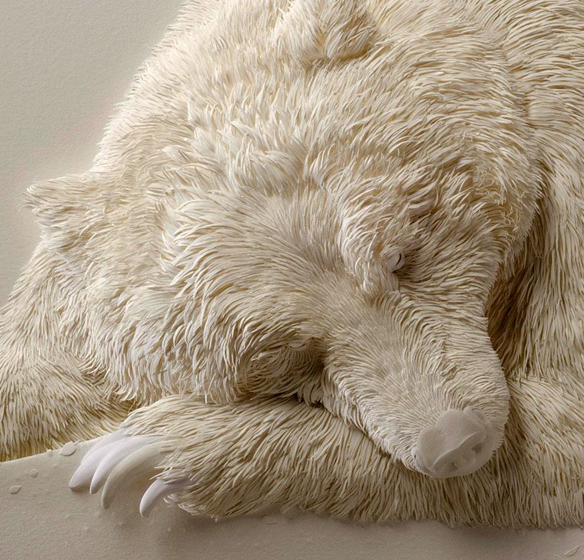 a bear by Calvin Nicholls