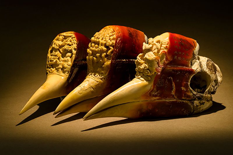 Hornbill casque carvings confiscated by U.S. customs. Photo by Tim Laman