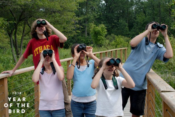 young people looking through binoculars - image by Susan Spear/Cornell Lab
