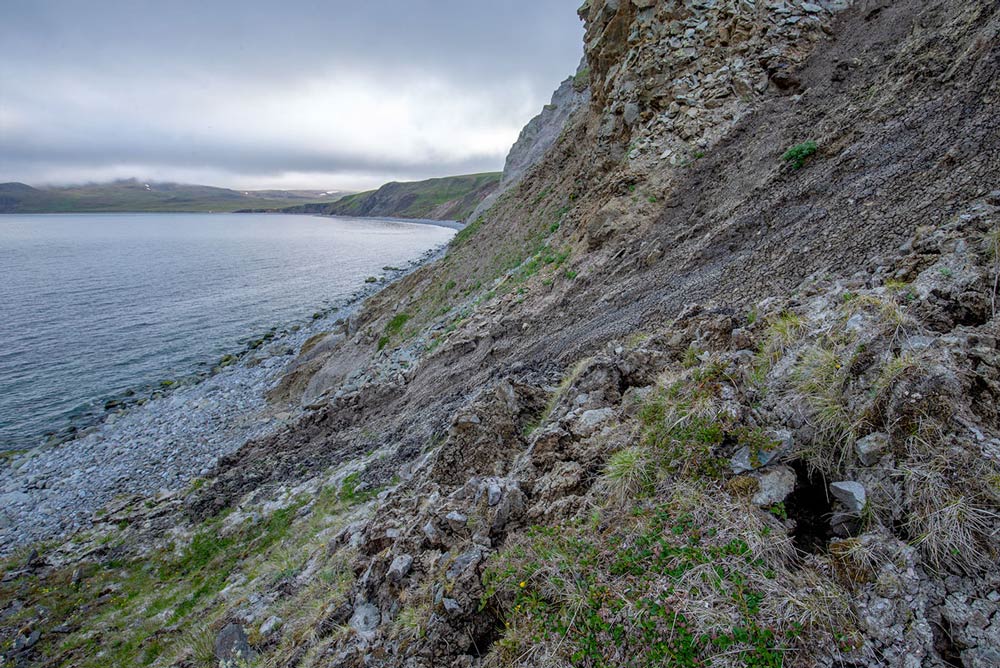 Soft volcanic soils erode into a towering talus slope at the Glory of Russia Cape. The countless cracks and crevices create ideal habitat for auklet colonies. Photo by Andy Johnson