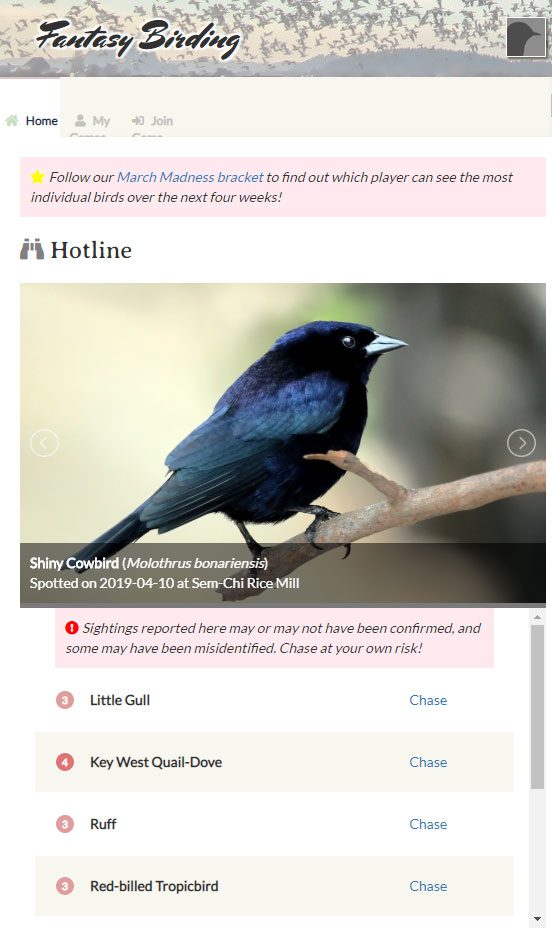 You can scan the hotline on Fantasy Birding for rarities that have turned up.