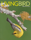 Living Bird Spring 2019 cover. Prothonotary Warbler.