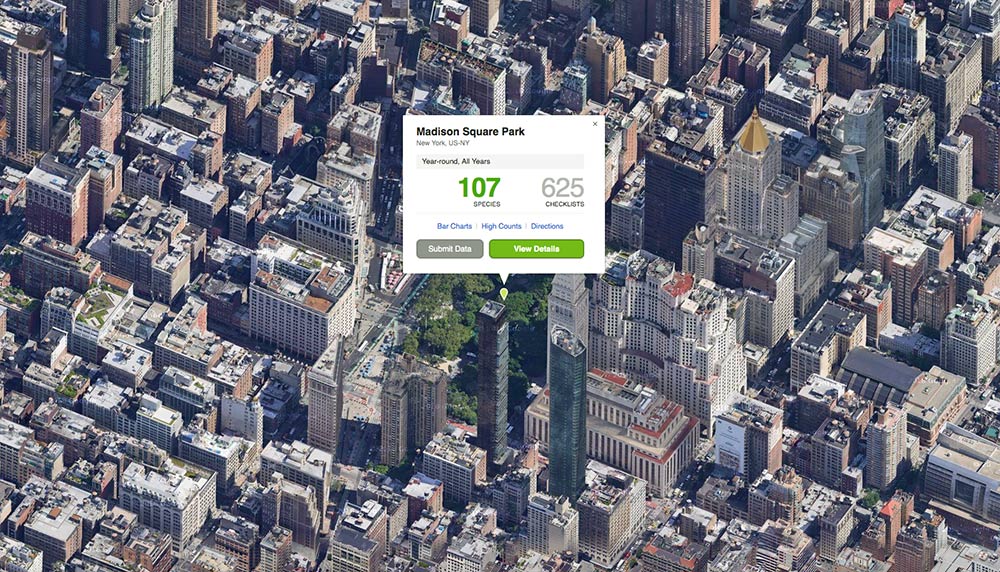 Madison Square Park image courtesy of Google Earth