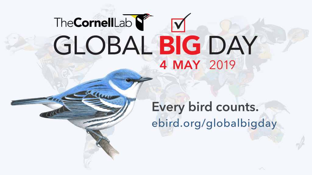Global Big Day 2019 banner