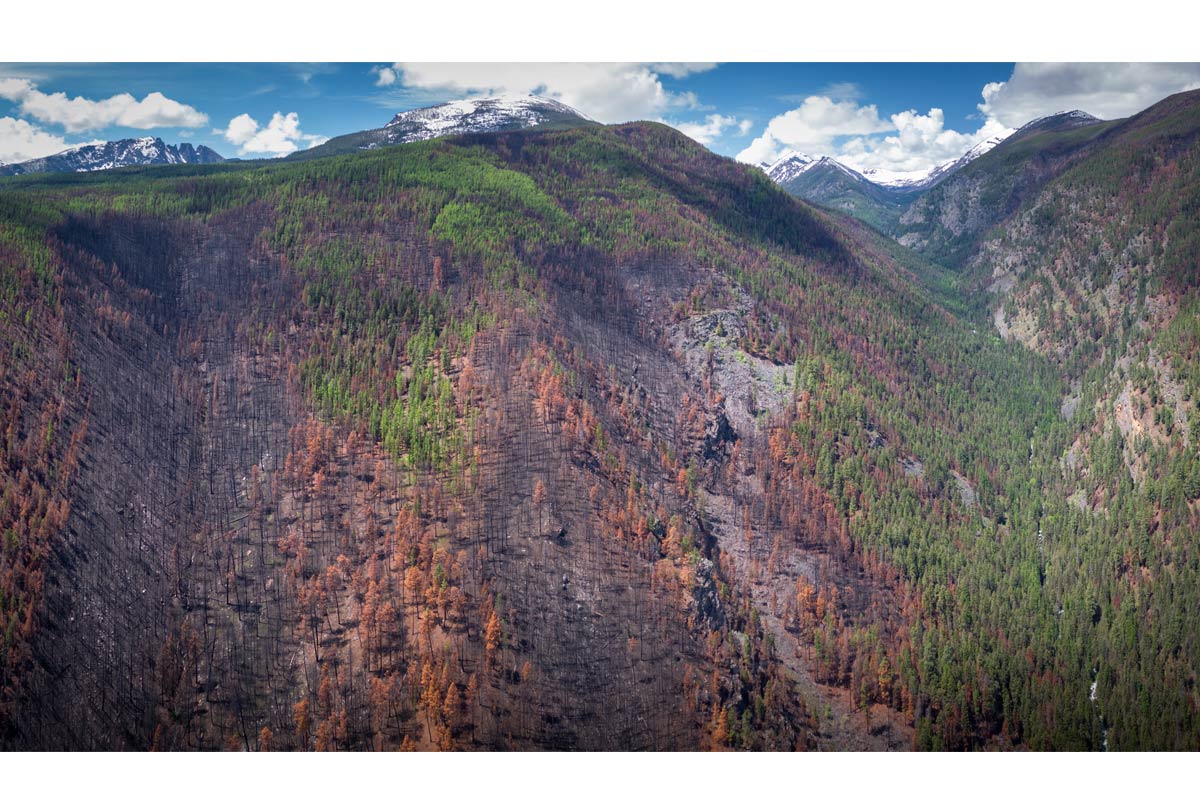 In this landscape near Bass Creek, Montana, swaths of green forest intermingle with the red and black of moderate and high severity patches. Photo by Jeremy Roberts/Conservation Media.