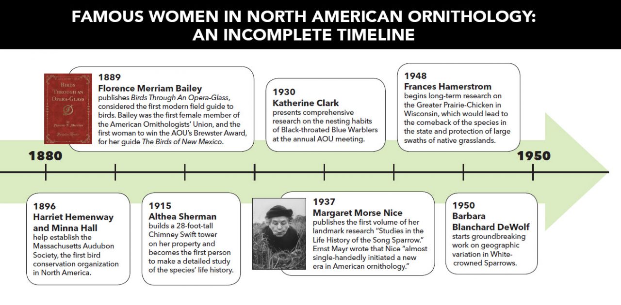 1880s to 1950s By 1900, 80 women were associate members of the American Ornithologists’ Union, which would have represented 11% of the total membership—except no women had been nominated for active membership.