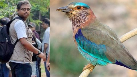 Janardhan Uppada, July 2019 eBirder of the Month, and his photo of an Indian Roller in ML