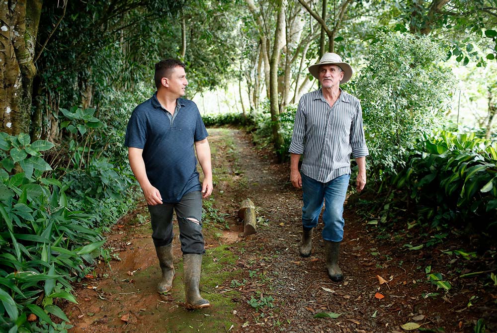 Edgar and his son Richard walk through their family coffee farm, which has 80% shade cover. Photo by Jeffrey Arguedas