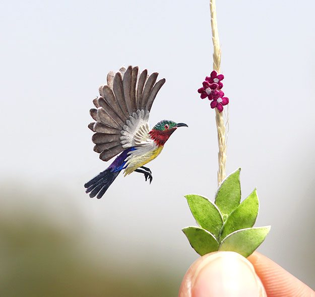 Purple-rumped Sunbird. By Nayan Shrimali and Vaishali Chudasama