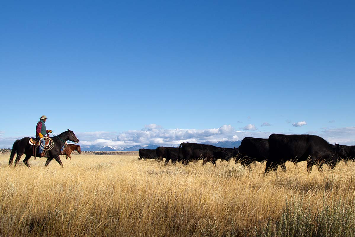 Rancher by Jeremy Roberts/Conservation Media