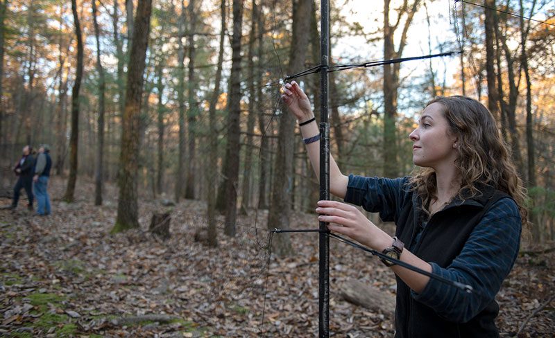 Volunteer Emily Case assembles a mist net to prepare for the coming night of monitoring the saw-whet migration at a Ned Smith Center station in Pennsylvania. In a given year, more than 100 volunteers assist with the center’s saw-whet banding operation. Photo by Chris Linder.