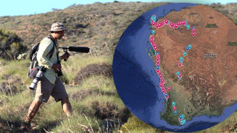 Eliot Miller walks along a spinifex-covered ridge in Cape Range National Park. Photo by Marie Chappell. Australia map shows western route.