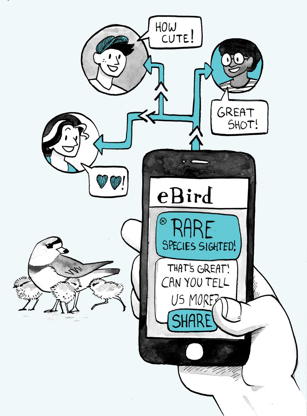 Birding in the Year 2025: social media movement. Illustration by Virginia Greene.