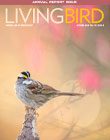 Living Bird cover, Autumn 2020. White-throated Sparrow by Ray Hennessy.