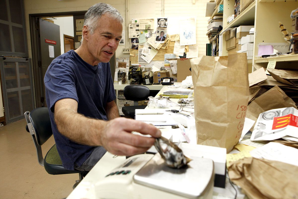 Now retired, Dave Willard was collections manager at Chicago’s Field Museum until 2012. Photo by Mike Tercha/Getty Images.