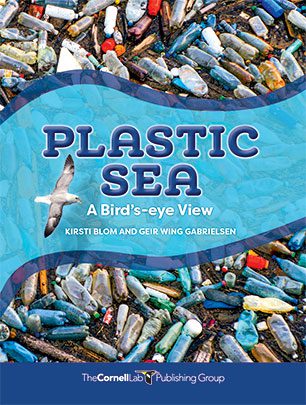 Plastic Sea-book cover