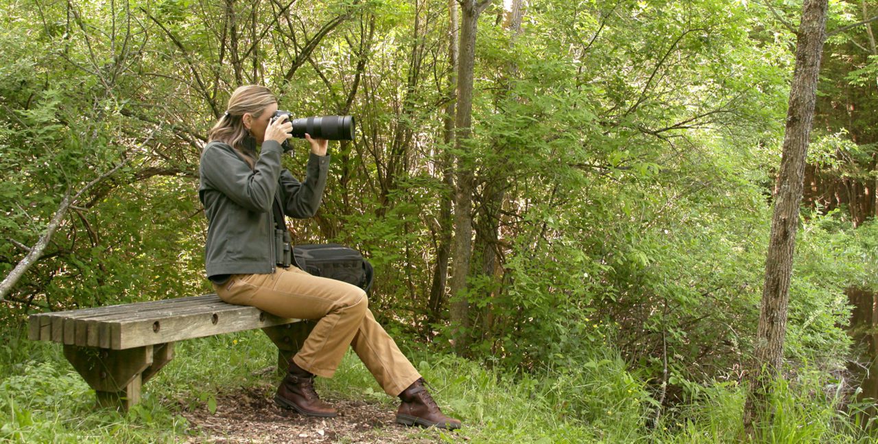 A “sit spot” could be as simple as a bench in a nature preserve—any place where you can settle in quietly for about a half-hour, let birds get comfortable with your quiet presence, and wait for the perfect subject to arrive. Video still courtesy of Karen Rodriguez.