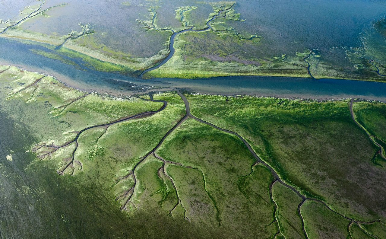 Izembek harbors one of the largest eelgrass beds in the world, which is why this marine wetland complex was the first American site designated under the RAMSAR Convention. Photo by Gerrit Vyn.