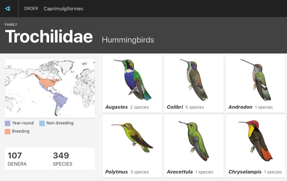 screenshot from hummingbirds page in Birds of the World site