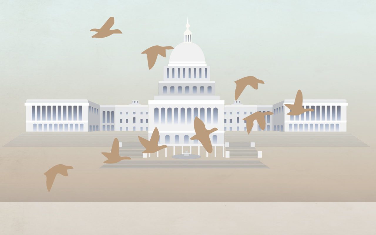 the House with bipartisan support in July 2020 and may yet pass the Senate in the 116th Congress. If not, RAWA will be reintroduced in the next Congress. RAWA tackles habitat loss—the driving factor in North America’s bird declines—by sending $1.4 billion annually in conservation funding to state and tribal wildlife agencies. It would enable all 50 states and five U.S. territories to implement their conservation plans for designated species of greatest conservation need (game and nongame species alike), including more than 700 bird species. The Migratory Bird Protection Act