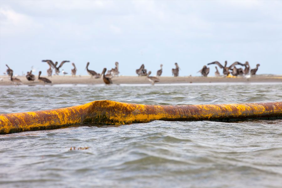 Scenes from 2010: Oil deposits fouled sandy beaches all along the Gulf Coast. Photo by Gerrit Vyn.