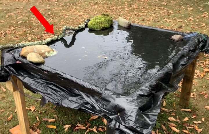 Lining a birdbath with black plastic can help capture clear reflections off the water surface, and the addition of natural materials can give the scene a natural feel. Adding a pump can keep the bath from freezing and the movement of the water can help attract birds. Photo by Ray Hennessy.