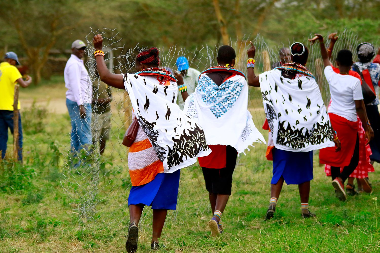 The Peregrine Fund and Lion Landscapes trained women from the Samburu community in Kenya to construct predator-proof bomas (livestock corrals), reducing the need to poison predators and, secondarily, vultures. Photo by Martin Odino.